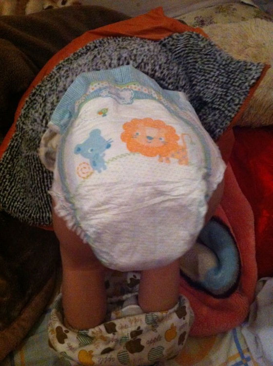 狮子老鼠图案,宝宝拿着玩了好久,穿上帮宝适纸尿裤,宝宝舒适一整夜!